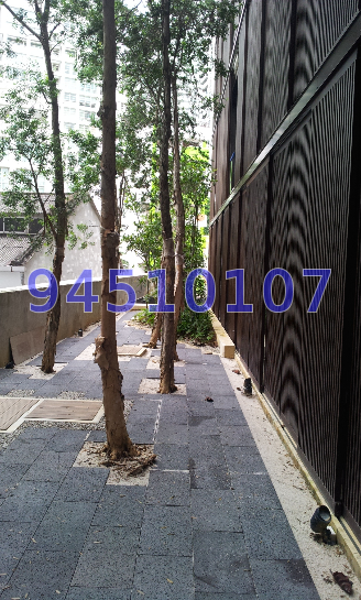 Killiney 118 (D9), Apartment #49789022